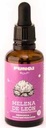 ​​​​TINTURA MADRE MELENA DE LEON FUNGI SOUL X 50 ML -MEMORIA Y CONCENTRACION